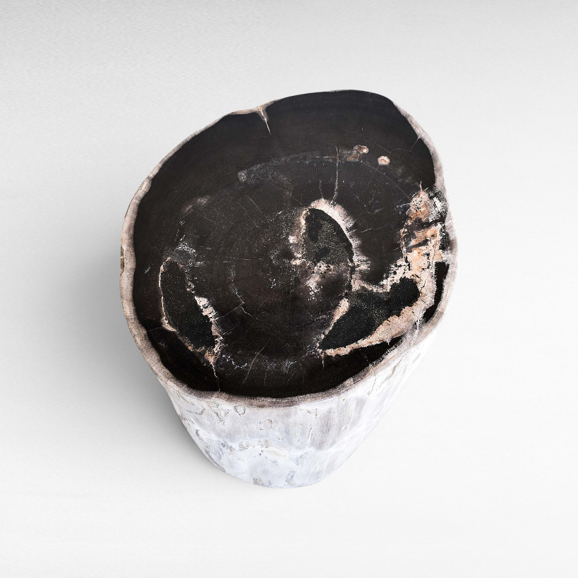 Chora Barefoot Luxury Living petrified wood stool with a polished black top and natural textured sides.