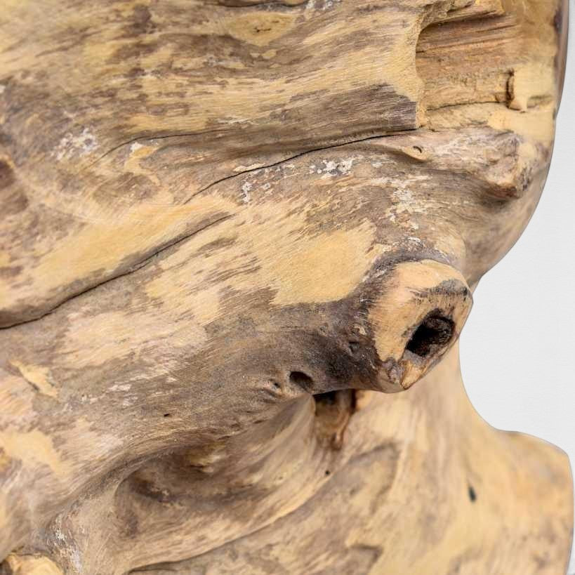 https://choramykonos-connector.sld.gr/api/image/e7d320016ed2e5ad