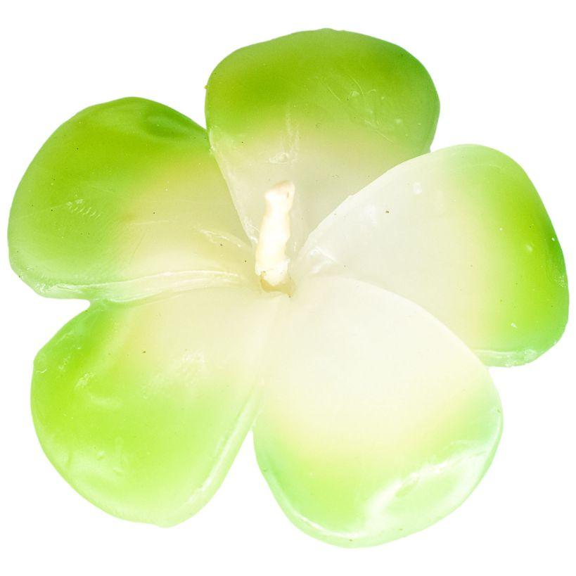 https://choramykonos-connector.sld.gr/api/image/1512481205e14579