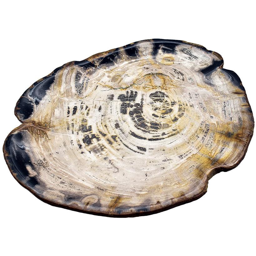 TRAY PETRIFIED WOOD - Chora Mykonos