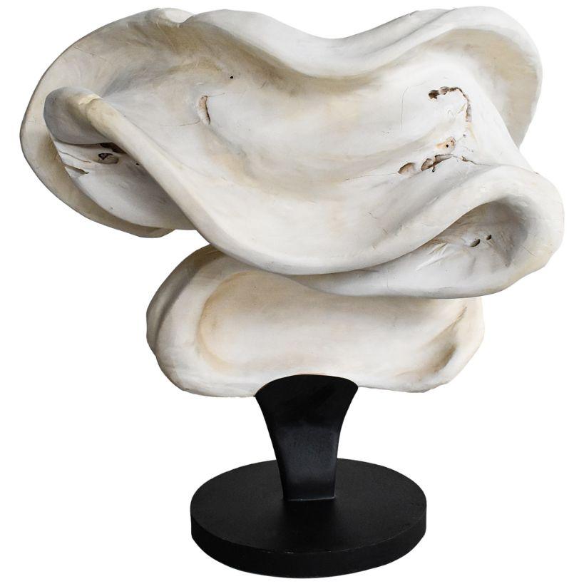 SCULPTURED WOOD BLEACHED DECO - Chora Mykonos