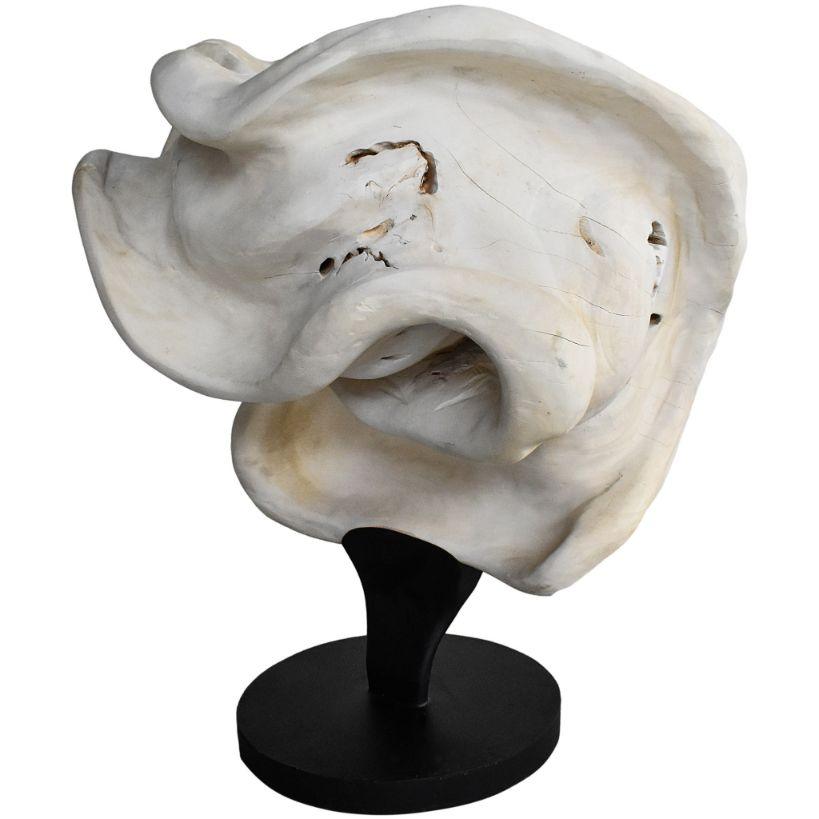 SCULPTURED WOOD BLEACHED DECO - Chora Mykonos