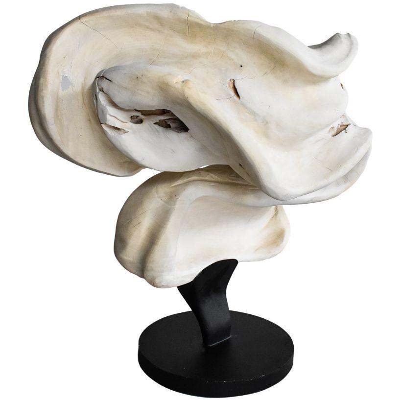 SCULPTURED WOOD BLEACHED DECO - Chora Mykonos