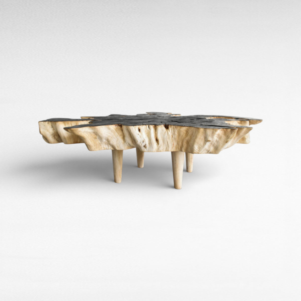 COFFEE TABLE LYCHEE WOOD BLACK & BLEACHED W170  |D120  |H45 cm
