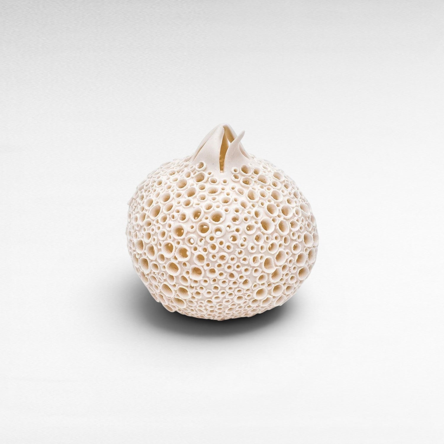 PORCELAIN POMMEGRENADE - Chora Mykonos