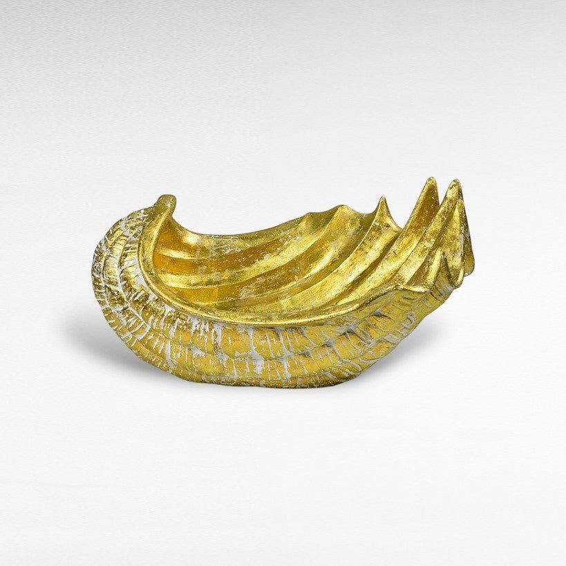 TERRACOTTA SHELL