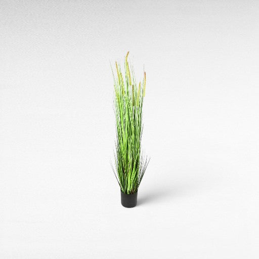 GREEN  1