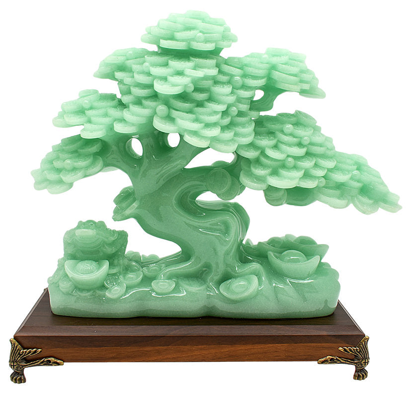 BONSAI TREE