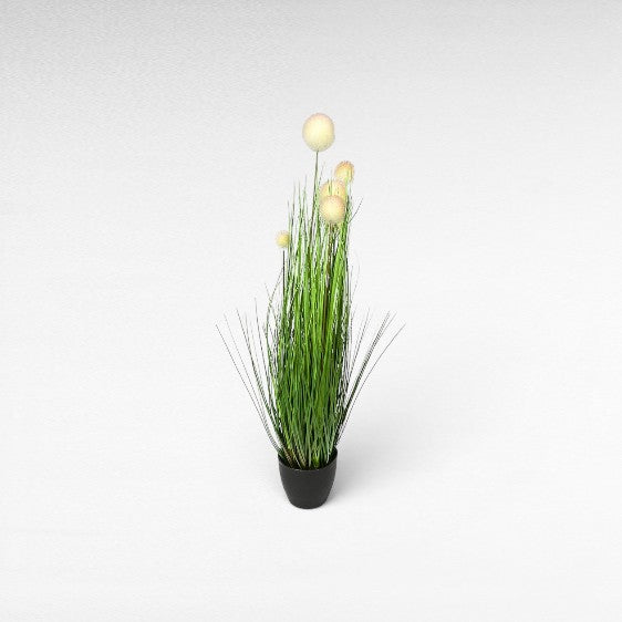 GREEN  7
