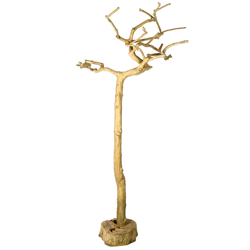 Teak Wood Decorative Tree – Unique Artisan Craftsmanship