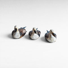 DUCKS SET OF 3 - Chora Barefoot Luxury Living