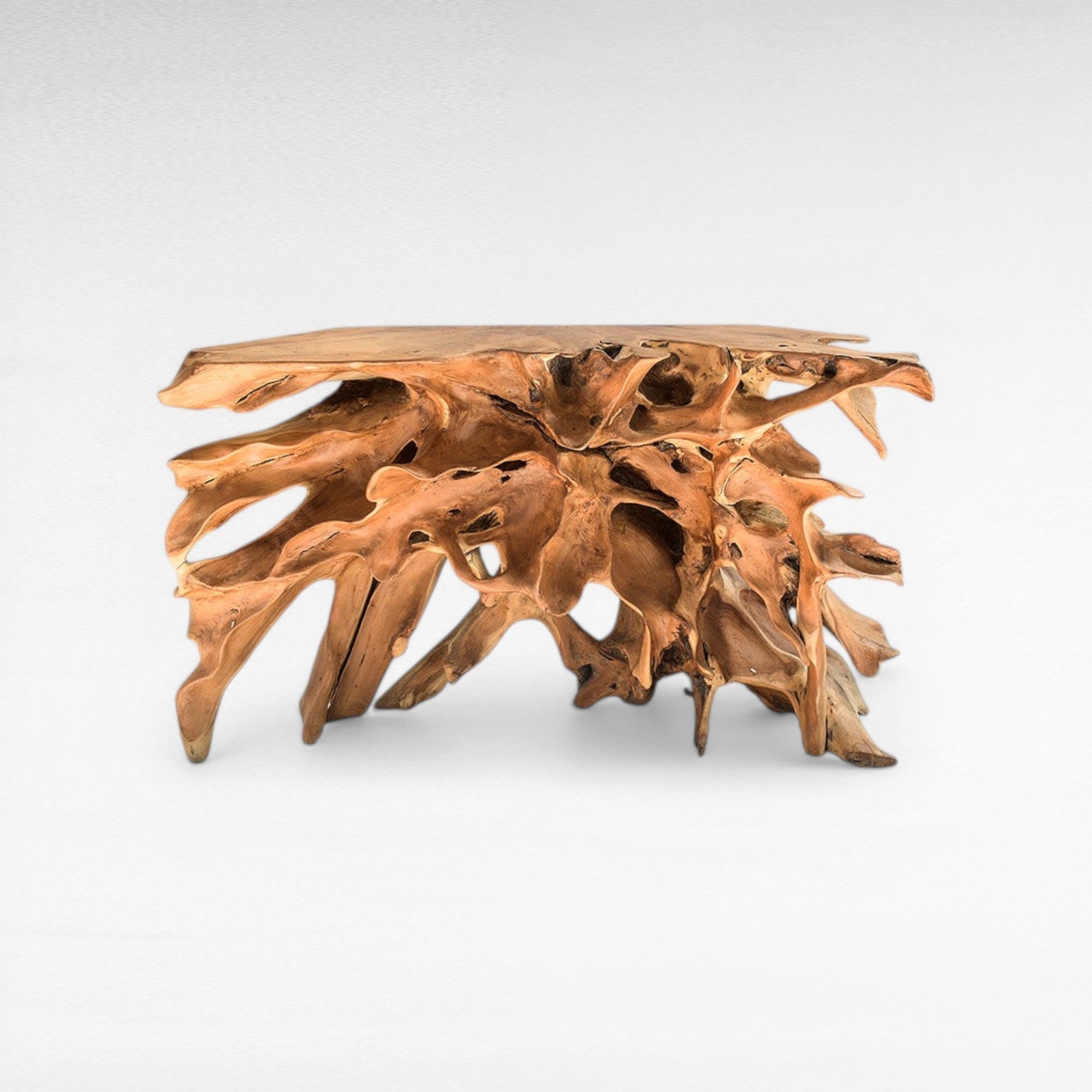 TEAK WOOD ROOT NATURAL COLOR W180 |D40 |H80 CM