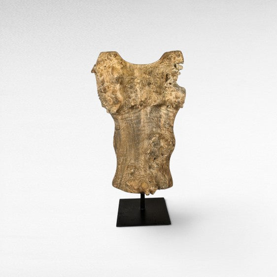 TORSO SCULPTURE