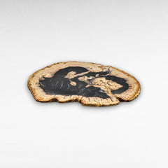 PETRIFIED WOOD PLATE - Chora Mykonos