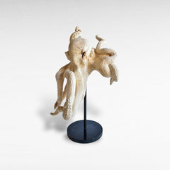 OCTOPUS HANDCARVED TEAK WOOD - Chora Barefoot Luxury Living