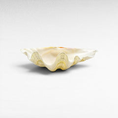 DECORATIVE SEA CREATURES SMALL - Chora Mykonos