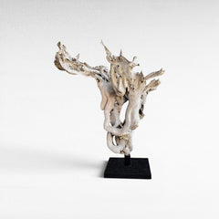 ROOT DECORATION TEAK W/ STAND - Chora Mykonos