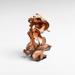 SCULPTURE TEAK - Chora Barefoot Luxury Living