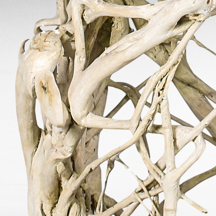 DECO ROOT 240 X 70