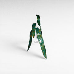 LEAF METAL DECOR - Chora Mykonos