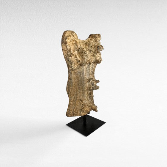 TORSO SCULPTURE