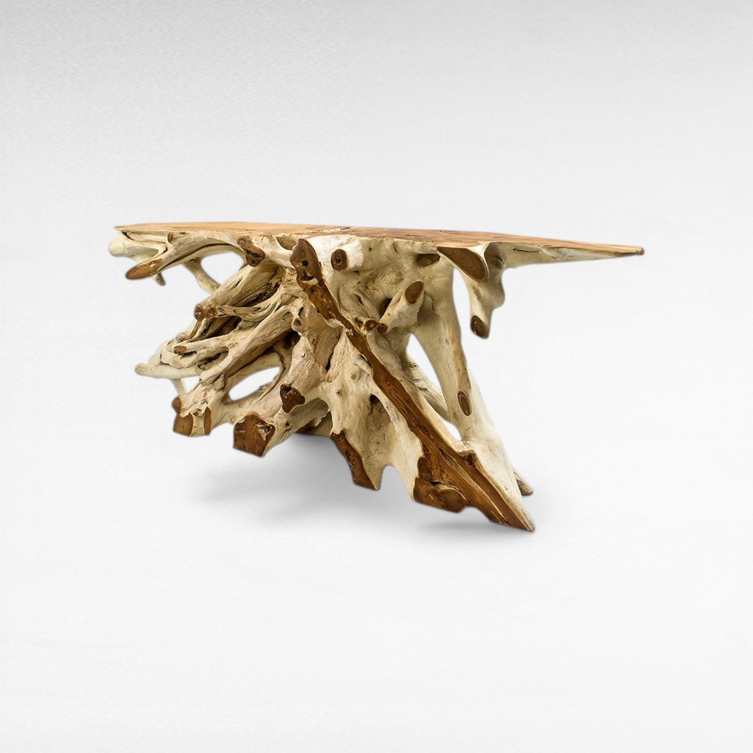 TEAK WOOD ROOT WITH GLASS BLEACHED & NATURAL COLOR W200 |D40 |H80 CM
