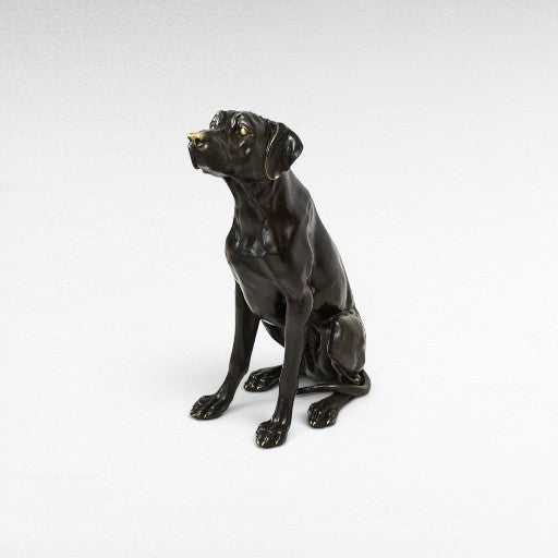 SITTING GUARD