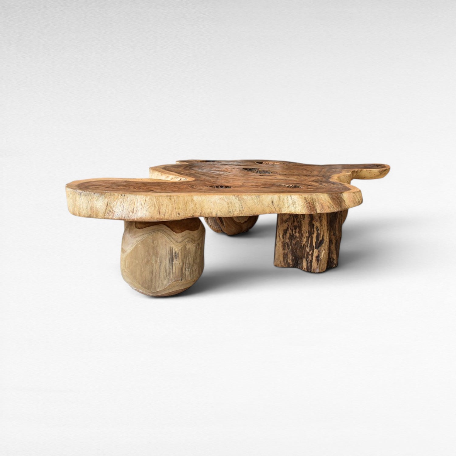LARGE ROOT COFFE TABLE W170 |D130 |H45CM