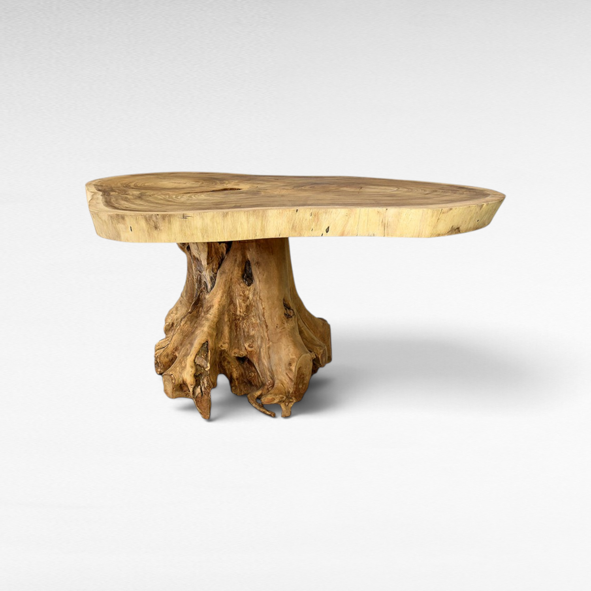 Chora Barefoot Luxury Living live edge Suar wood dining table with a sculptural tree root base and natural wood grain.