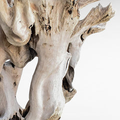 ROOT DECORATION TEAK W/ STAND - Chora Mykonos