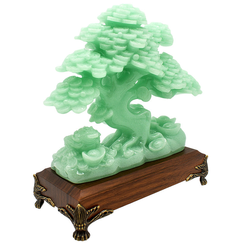 BONSAI TREE