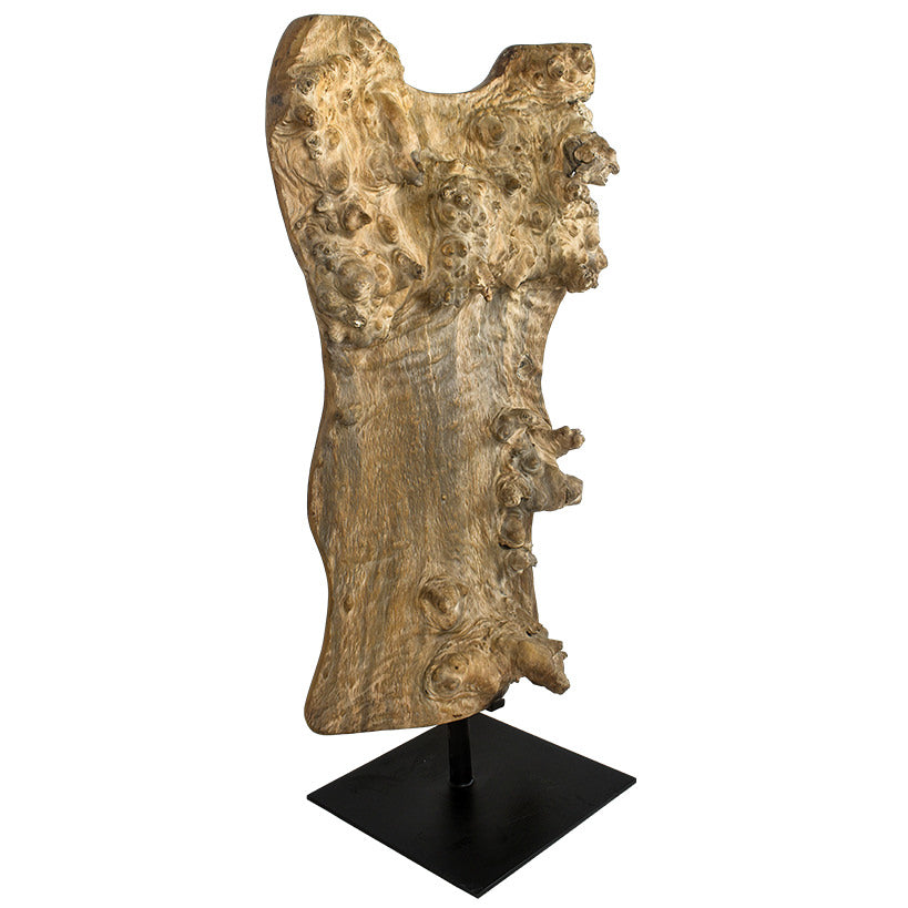 Teak Torso Art Piece – Handcrafted Elegance for Your Home