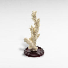 DECORATIVE SEA CREATURES SMALL - Chora Mykonos