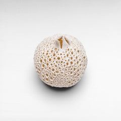 PORCELAIN POMMEGRENADE - Chora Mykonos