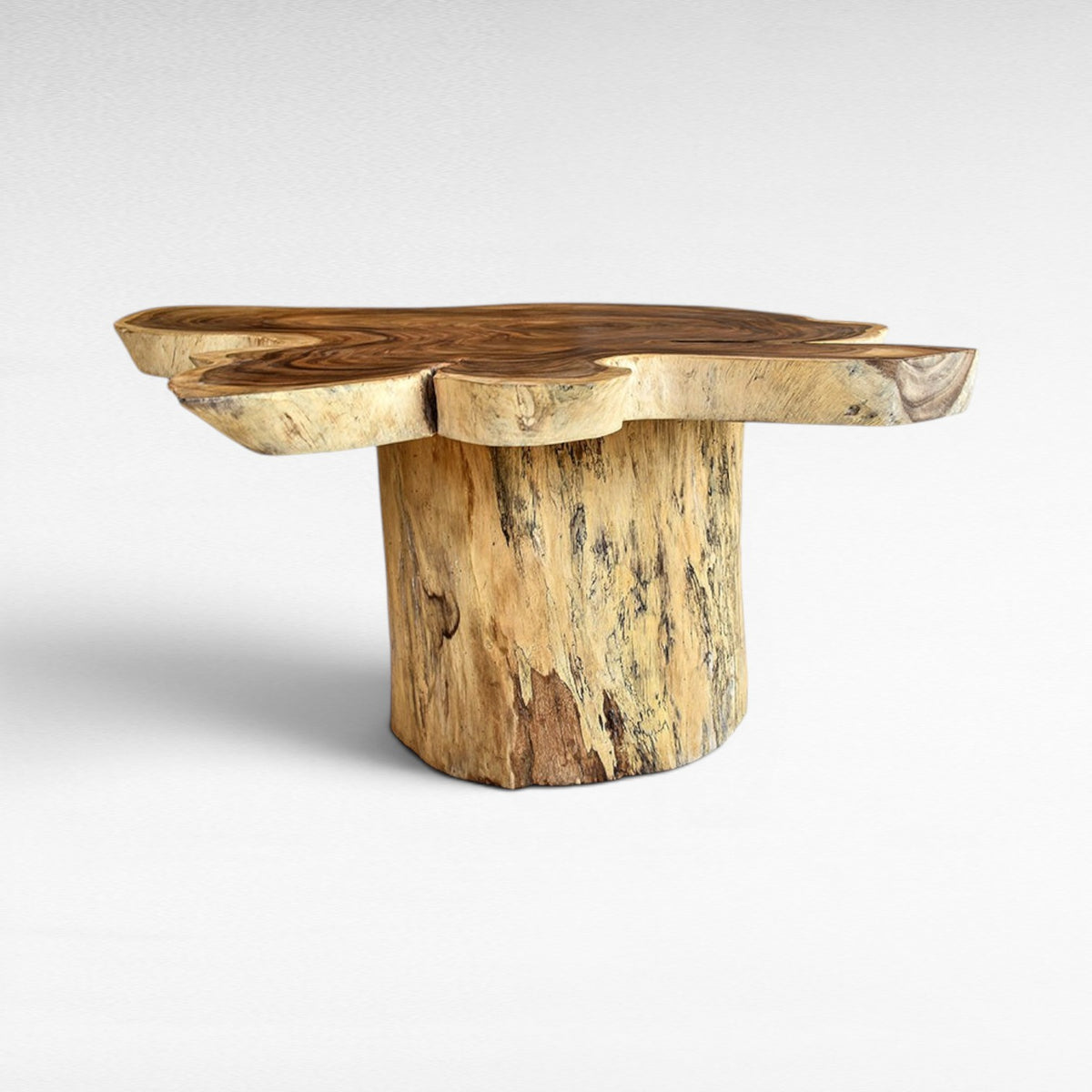 OVAL TABLE L170 |W120 |H80 cm