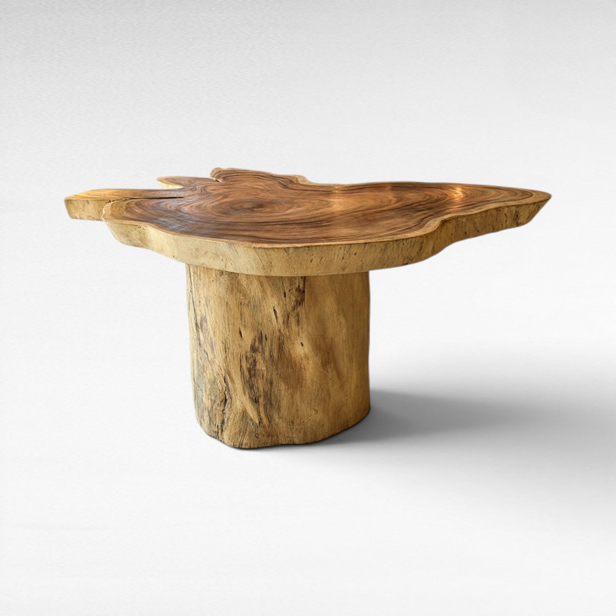 OVAL TABLE L170 |W120 |H80 cm