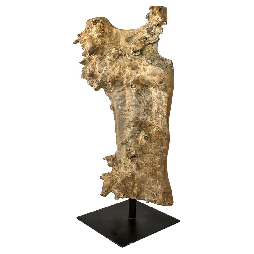 Teak Torso Art Piece – Handcrafted Elegance for Your Home