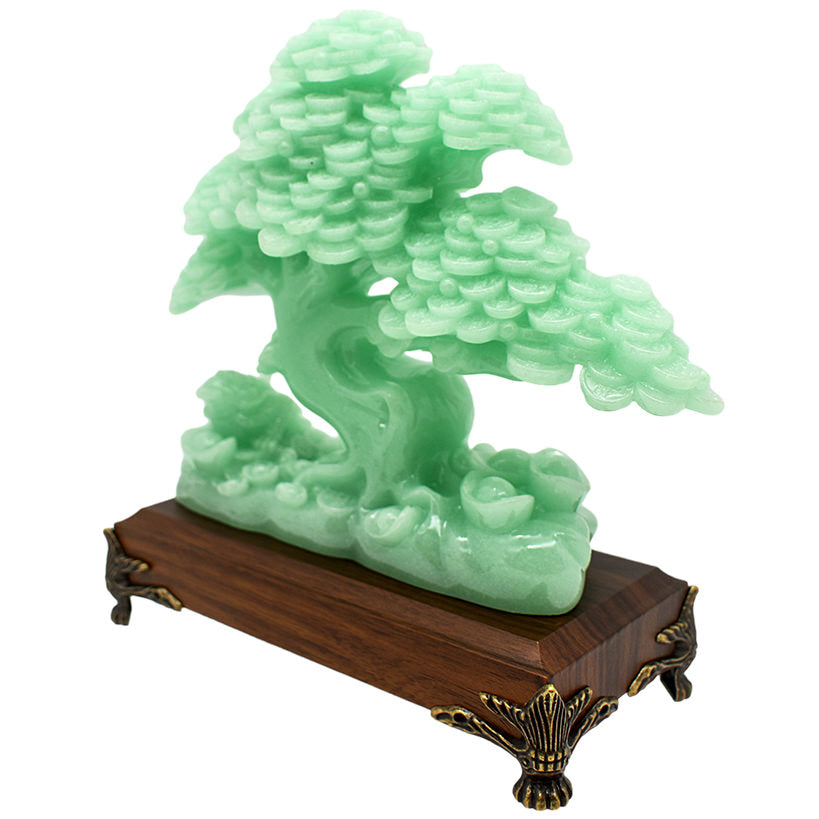 BONSAI TREE