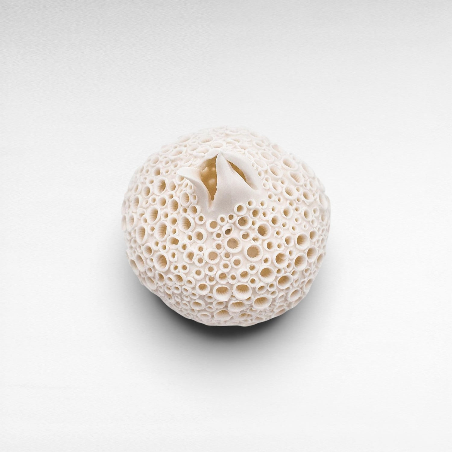 PORCELAIN POMMEGRENADE - Chora Mykonos