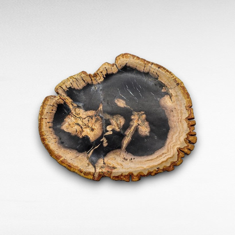 PETRIFIED WOOD PLATE - Chora Mykonos