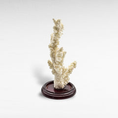 DECORATIVE SEA CREATURES SMALL - Chora Mykonos