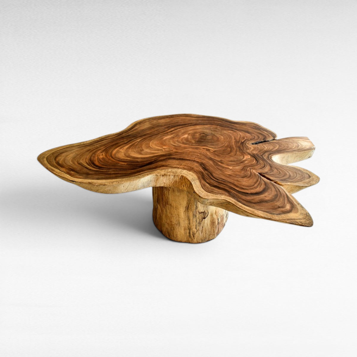 OVAL TABLE L170 |W120 |H80 cm