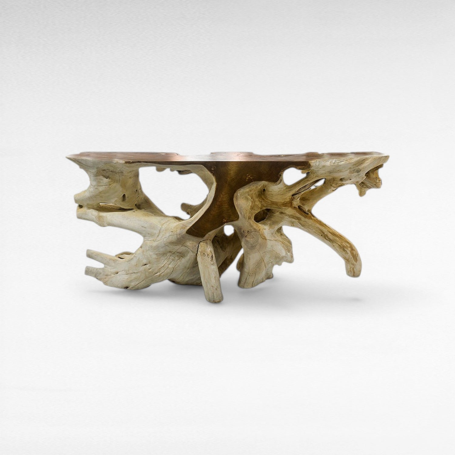 TEAK WOOD ROOT WITH GLASS BLEACHED & NATURAL COLOR W180 |D40 |H80 CM