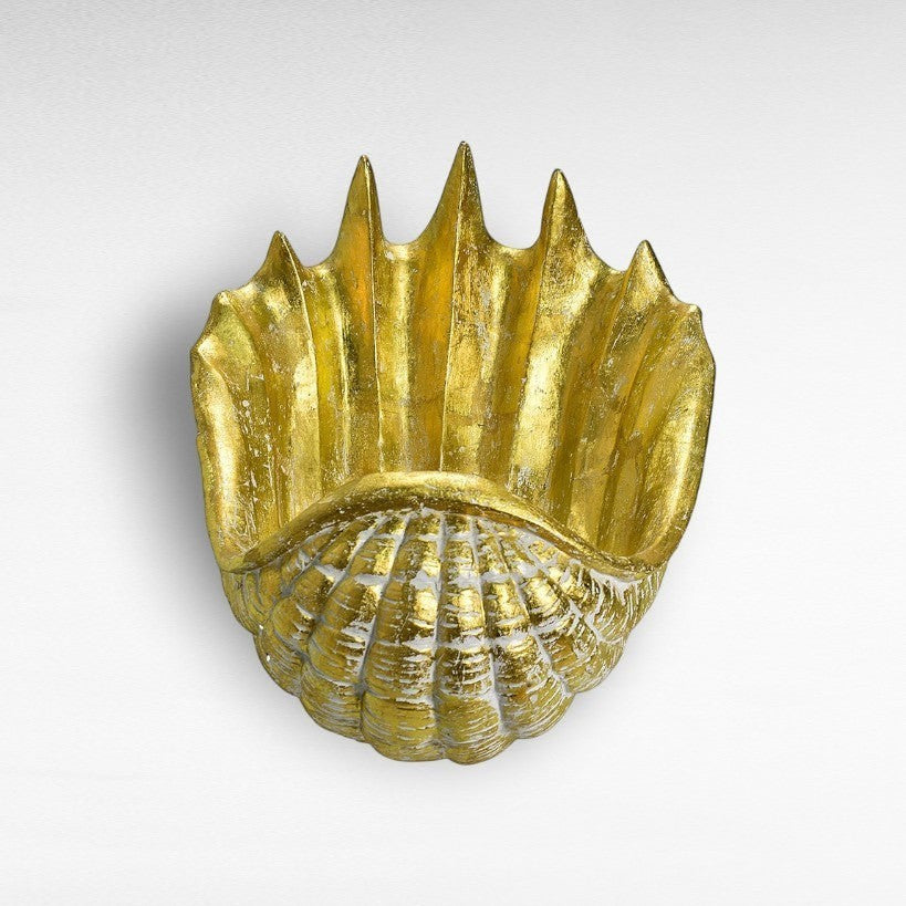 TERRACOTTA SHELL