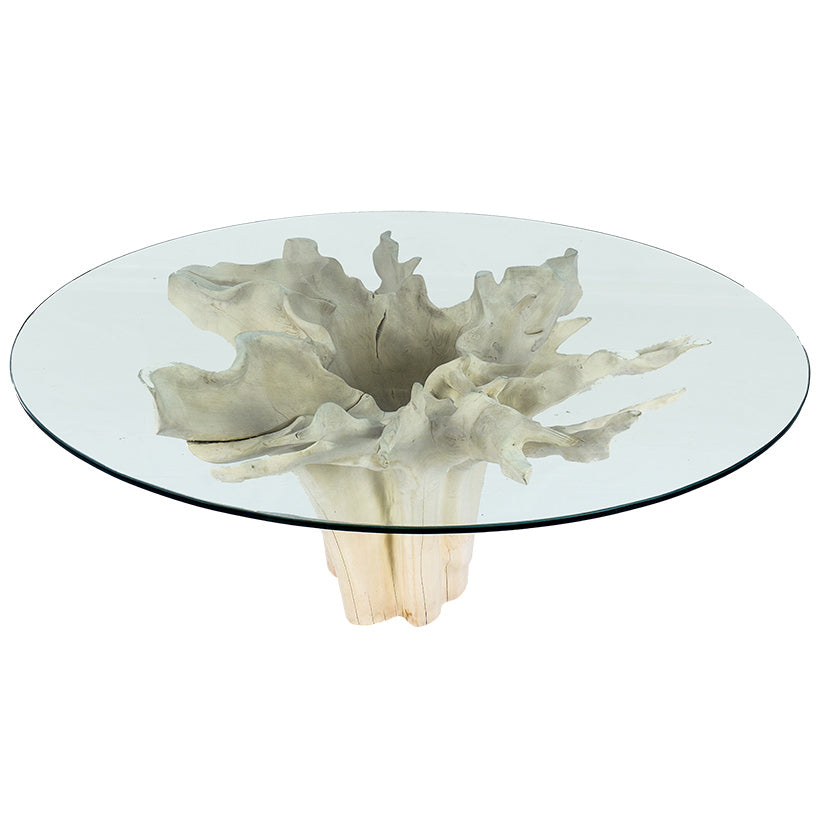 ROOT DINING TABLE WITH GLASS 120 X 120