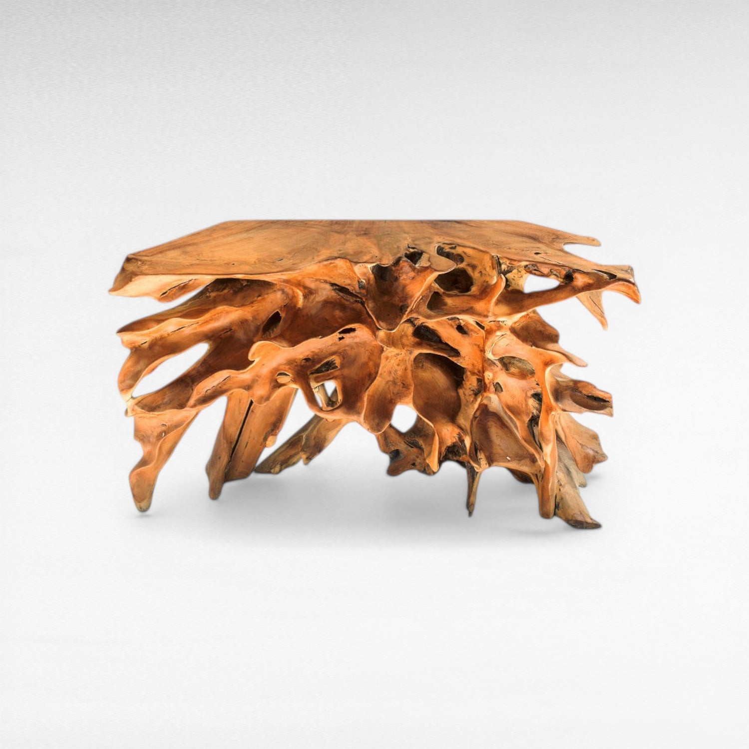 TEAK WOOD ROOT NATURAL COLOR W180 |D40 |H80 CM