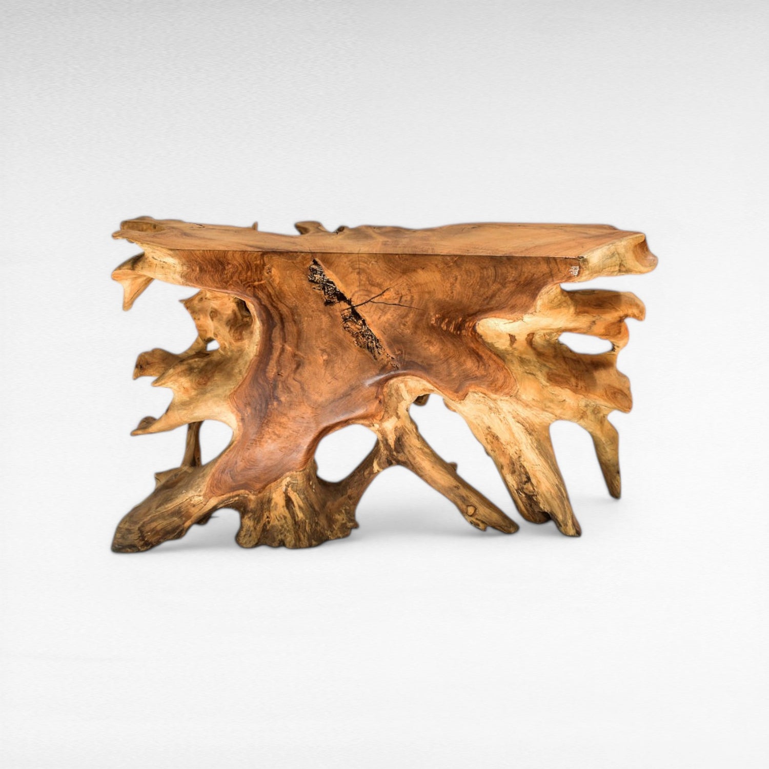 TEAK WOOD ROOT NATURAL COLOR W180 |D40 |H80 CM