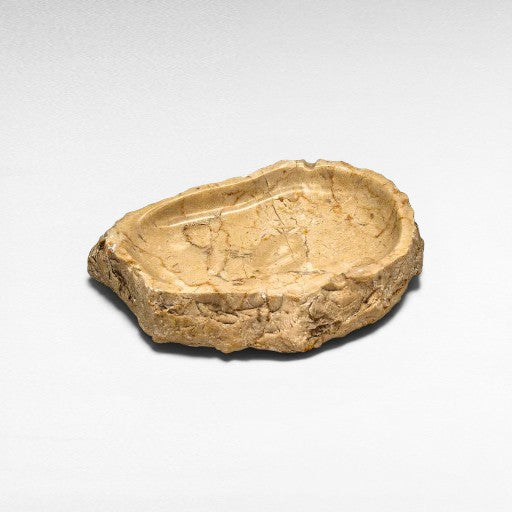 https://choramykonos-connector.sld.gr/api/image/7947637ab3c7076b