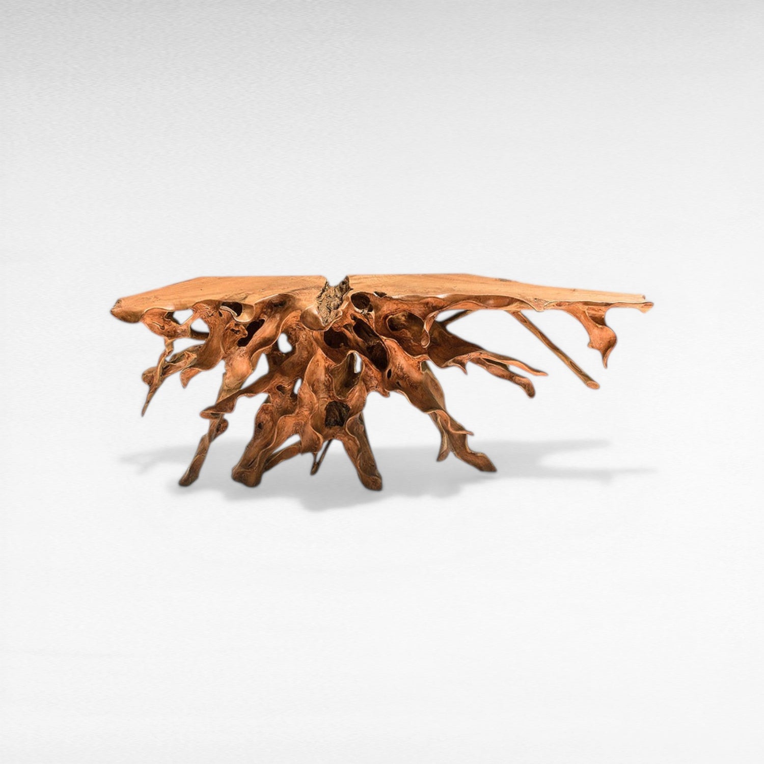 TEAK WOOD ROOT WITH GLASS NATURAL COLOR W195 |D43 |H80 CM
