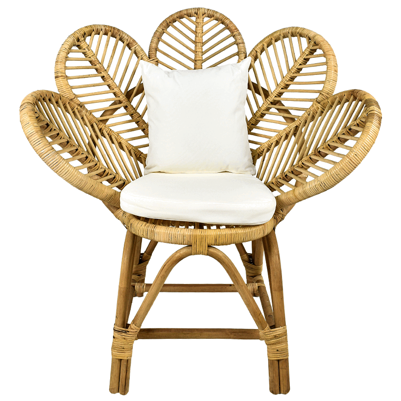 RATTAN RELAX CHAIR WITH CUSHION W90 |D64 |H100 CM